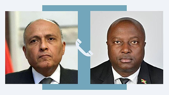 تفاصيل اتصال وزير الخارجية بنظيره البوروندي