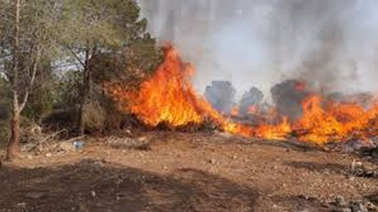 اسرائيل : خطة مساعدات تُعنى بتدارك الأضرار المترتبة عن الحريق الذي شب في جبال يهودا