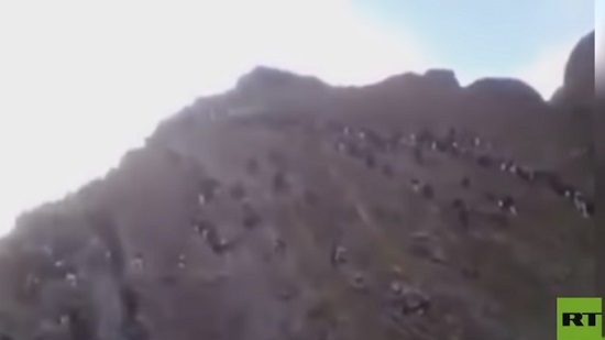 فيديو .. مئات الأفغان يتسلقون الجبال للدخول إلى إيران هربا من طالبان 