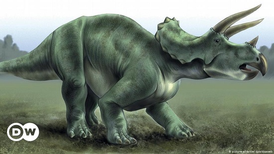 له 3 قرون وعمره 67 مليون سنة.. ديناصور ضخم للبيع مقابل 1.8 مليون دولار