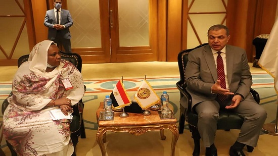 وزير القوى العاملة: نعمل على تقديم تسهيلات للعمالة السودانية العاملة فى الدولة المصرية 