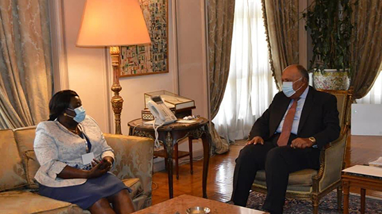 وزير الخارجية يؤكد لنظريته الجنوب سوادنية تقديم مصر شتى أنواع الدعم لبلادها في ظل تحديات كورونا والفيضانات