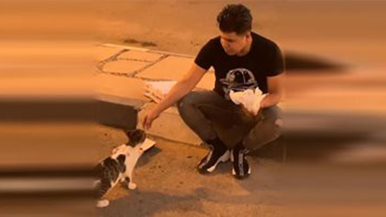  عمر كمال يطعم قطة فى الشارع: جايز تكون سبب دخولى الجنة 
