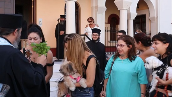 رجال دين في قبرص يباركون الحيوانات الأليفة