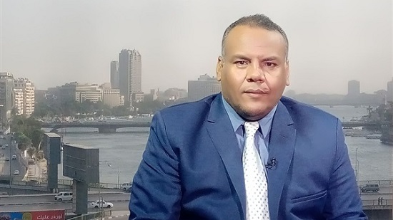 أبوبكر الديب : حلم إعادة إعمار البلدان العربية يقترب من التنفيذ بجهود مصرية سعودية اماراتية