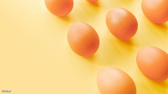 كثافة بإنتاج البيض في مصر
