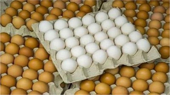 بتخفيض 20%.. التموين تبدأ طرح كميات من «البيض» في الأسواق