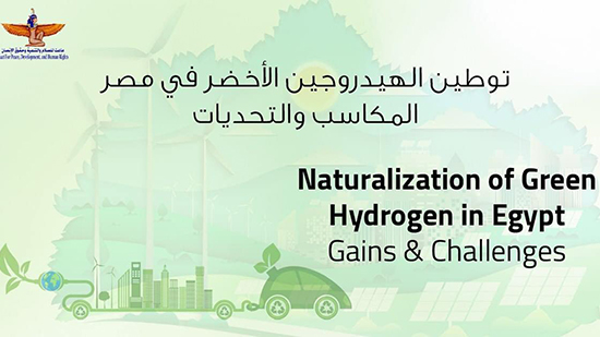 توطين الهيدروجين الأخضر في مصر