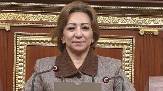 الدكتورة مها عبد الناصر، عضو لجنة الاتصالات بمجلس النواب،