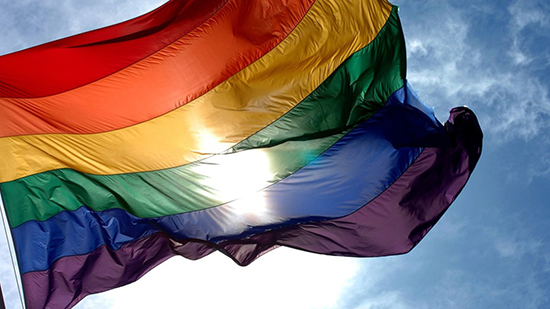ظاهرة المثلية الجنسية لا يمكن اعتبارها مشروعة وتهدد سلامة المجتمع الدولي