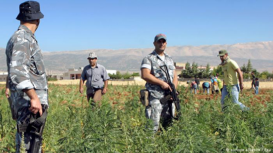 الجيش اللبناني يعملون في الزراعة 