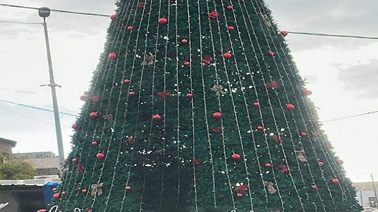  شجرة عيد الميلاد