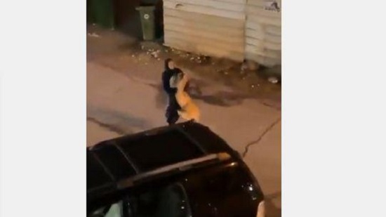 فتاة تبهر مواقع التواصل بشجاعتها بعد سيطرتها على أسد هارب في شوارع الكويت (فيديو)