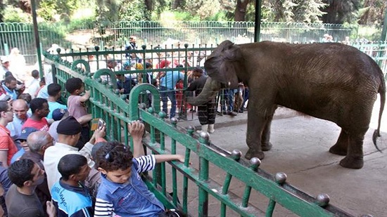  يوميات حديقة الحيوان وتشجيع السياحة الداخلية