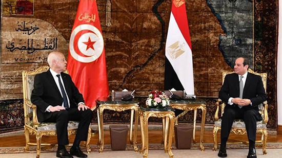 قيس سعيد لـ«السيسي»: تونس تقف بجانب مصر في جهودها لمكافحة الارهاب