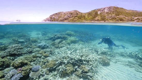  الحاجز المرجاني العظيم في أستراليا