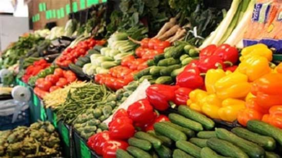 أسعار الخضروات اليوم الأربعاء 29-6-2022 في الأسواق المصرية