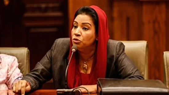  نشوى الديب تقدم مشروع قانون يحق للمسيحية الاحتفاظ بحضانة أولادها من المسلم