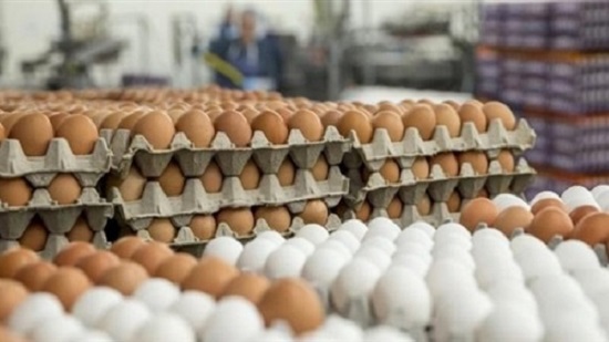  وزارة الوزارة تواصل طرح البيض في منافذها بأسعار مخفضة