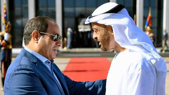 رئيس الإمارات والرئيس السيسي 