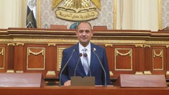 هشام الجاهل عضو مجلس النواب