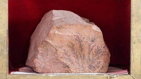 صخرة من جبل سيناء تحجر