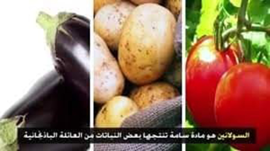 ماذا تعرفين عن السولانين (المادة الخضراء التي تكون في الطماطم أو البطاطس أو الباذنجان)