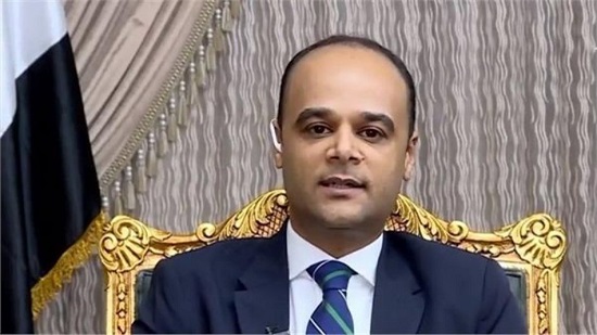 السفير نادر سعد، المتحدث باسم مجلس الوزراء
