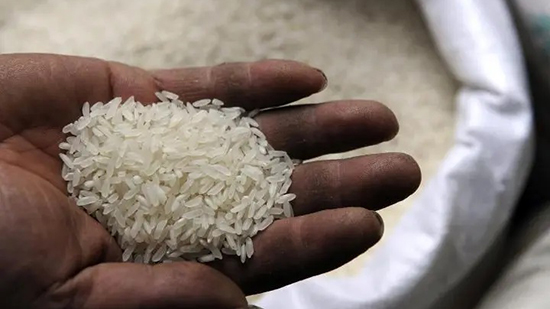 التموين: تمد المهلة لحائزي الأرز للإخطار عنه حتى هذا الموعد