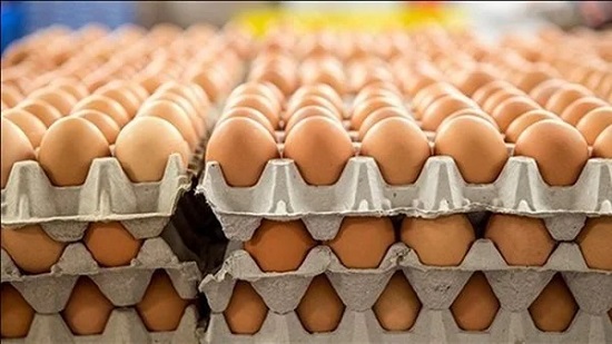 أسعار البيض اليوم في الأسواق بعد ارتفاع الكرتونة 5 جنيهات بالمزرعة