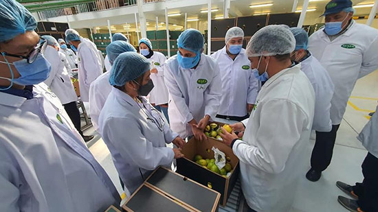وزير الزراعة يعلن فتح السوق الفلبيني أمام الصادرات المصرية لأول مرة