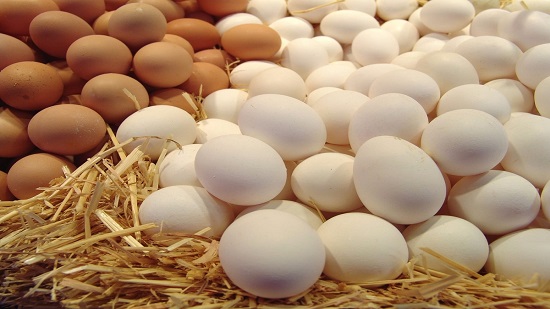 ارتفاع أسعار البيض.. وخبراء زيادات أخرى الفترة القادمة نتيجة 