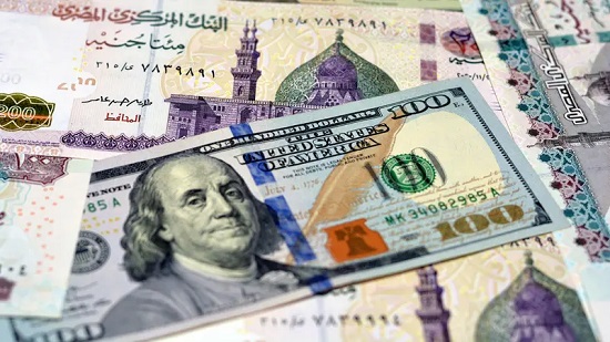  كيف تحولت مضاربات الدولار إلى خسائر حادة في مصر؟