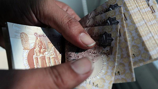 «فيتش»: البنوك المصرية قادرة على مواجهة تداعيات مرونة سعر صرف الدولار