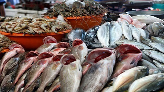 انخفاض البلطي.. أسعار السمك اليوم السبت في سوق العبور