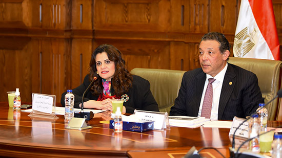 وزيرة الهجرة تشارك في اجتماع لجنة الشئون الخارجية والعربية والإفريقية بمجلس الشيوخ