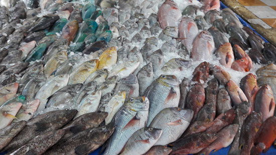 شعبة الأسماك: 10% زيادة في الأسعار خلال شهر