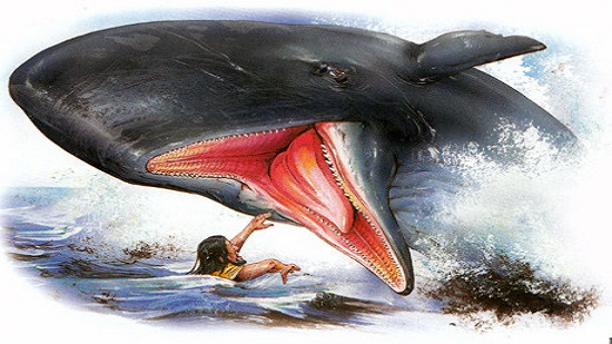  الحوت الذى ابتلع يونان