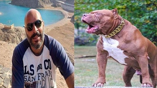  قضية كلب المذيعة أميرة شنب