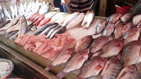  أسعار الأسماك اليوم تسجل فى خامس أيام رمضان 68 جنيها للبلطى بسوق الجملة