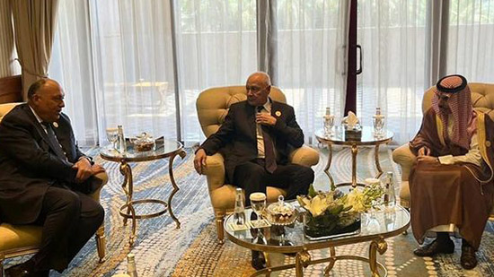 وزير الخارجية يشارك في الاجتماع الأول لمجموعة الاتصال العربية الوزارية المعنية بالوضع في السودان