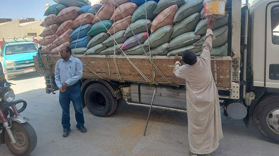 نائب محافظ المنيا يضبط سيارتين محملتين بـ 18 طن من محصول القمح بهدف الاحتكار 