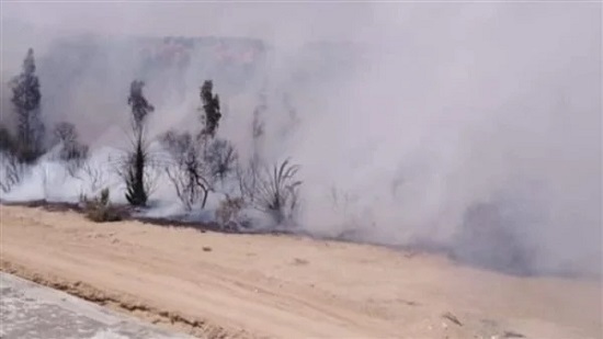 حريق بمزارع أشجار ومخزن كاوتش تابع لشركة سيارات كبرى على طريق الإسكندرية الصحراوي