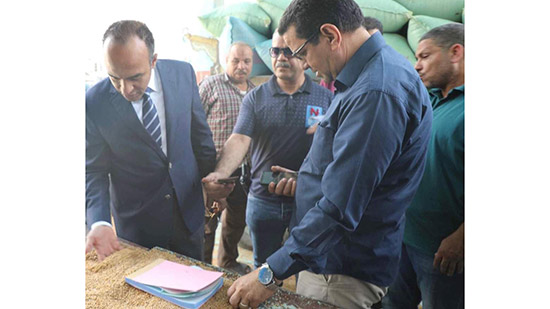 نائب محافظ المنيا: توريد 343 ألف طن من محصول القمح بشون وصوامع المحافظة