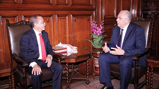 وزيرا الزراعة في مصر وموريتانيا يبحثان سبل تعزيز التعاون الزراعي المشترك بين البلدين