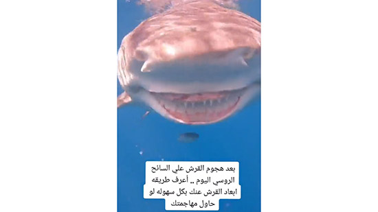 هجوم القرش على السائح في مصر