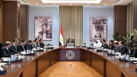 رئيس الوزراء يلتقي وزير الاستثمار بدولة الإمارات العربية المتحدة