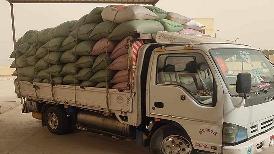  توريد ١٣٥٢ طناً و ٣١٣ كيلو جراماً من محصول القمح إلى صوامع المنيا 