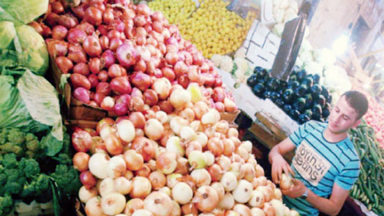 شعبة الخضروات: تراجع أسعار البصل والبطاطس بالأسواق إلى 13 جنيها