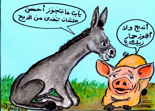الإصرار المتعمد بذبح كل الخنازير بمصر